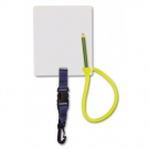 Ardoise fluorescente sous-marine