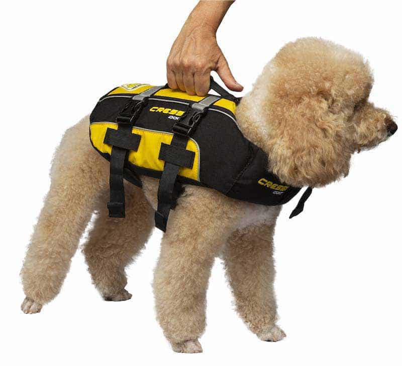 Gilet de sauvetage pour chiens (jaune, M)