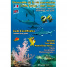 Glossy brochure Discover the underwater life Indian Ocean and Red Sea